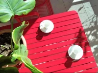 Terranova Milano City