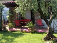 Una Casa tra gli Olivi