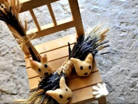 Agriturismo CГ  Del Buco