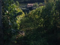 Agriturismo I Cascinieri