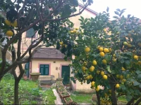 Old Cottage Downtown Monterosso