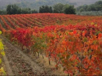 Le Fonti A San Giorgio