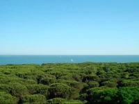 Villa Regina - MarePineta Resort