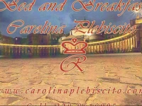 B&B Carolina Plebiscito R.