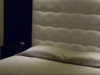 Il Paradiso di Dante