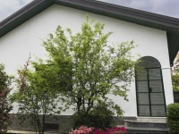 Il giardino di Fiorina