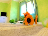 Good Vibe Sardinia B&B