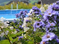 Residence La Rondula