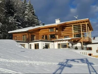 Chalet Sophia