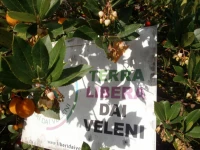 Trullo Villa Giuliana