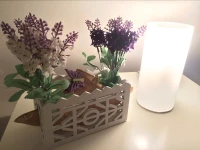 Alle Antiche Mura del Vicolo