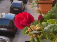 B&B Colori di BahlarГ 