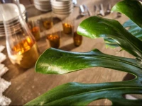 Case dA Mare Palermo