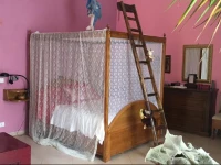 Exclusive Dependance