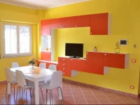 Titohome Red & Violet