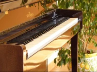 Best Western Hotel La Conchiglia