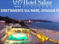 Hotel Saline
