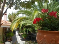 Bed and Breakfast El DueГ±o