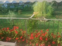 B&B La Damigiana FioГ¬