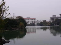 Guilin Bravo 4*