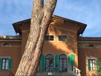 Villa Colle Olivi