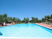 Villaggio Turistico Camping Parco Degli Ulivi