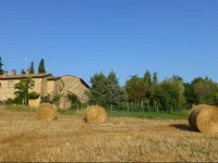Agriturismo Podere San Gregorio