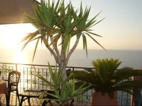 Casa Armonia Bed and Breakfast