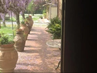 Bed and breakfast Queen