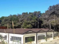 Circolo Velico Lucano