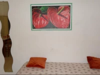 Immobilevante Casa Rada