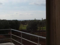 Bed & Breakfast Morfeo