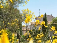 Affittacamere Il Caminetto