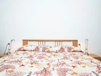 Appartamento Scaglieri