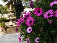 Villa Giuliana Resort & Spa