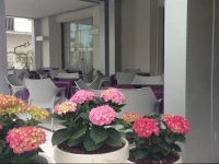 Hotel Nuova Riccione