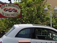 Le Coccinelle