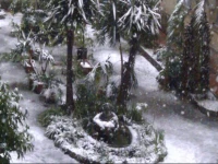 Hotel Campidoglio 2*