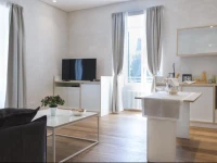 00192 luxury apartment