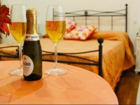 B&B Have A Nice Holiday