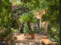 Buonanotte Garibaldi