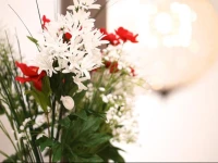 Colosseum Apartments Rome