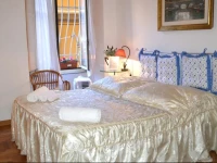 Daffodil in Roma San Pietro