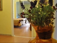 Domus Rosetta Romana