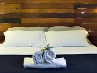 Folia Domus - Vatican City