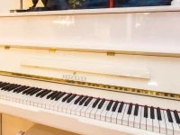 Friendly Rentals Aura