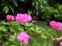 Gioia Bed and Breakfast