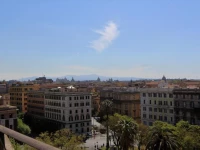 La Rosa del Vaticano