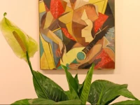 Lo Studio Guest House