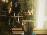 Metropolitan Bed and Breakfast